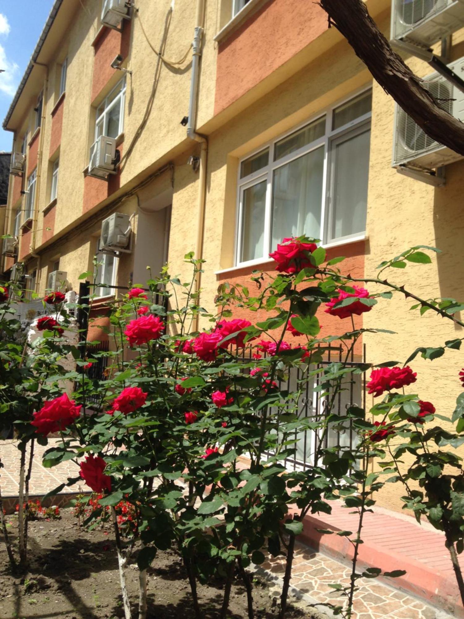 Sultanahmet Deluxe Yilmaz Apart Istanbul Luaran gambar